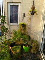 Balcony 2