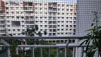 Balcony 1