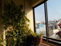 Balcony 1