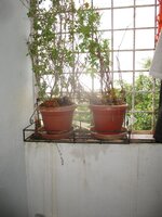 Utility 1