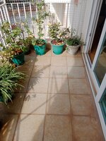 Balcony 1