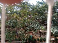Balcony 2