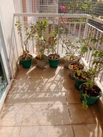 Balcony 2