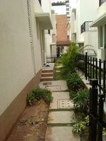 Back Yard 1