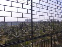 Balcony 2