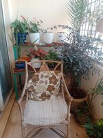 Balcony 1