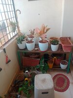 Balcony 1
