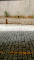 parkings 1
