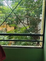 Balcony 1