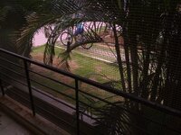 Balcony 1