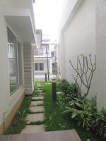 Garden 1