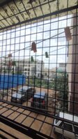 Balcony 1