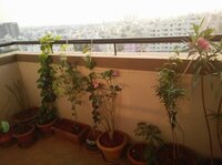 Balcony 1