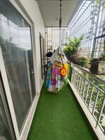 Balcony 1