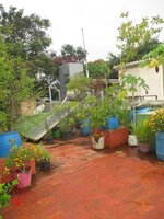 terrace