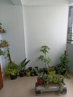 Balcony 1