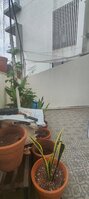Balcony 2