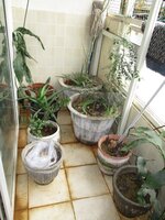 Balcony 1