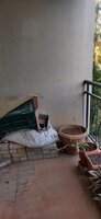 Balcony 1