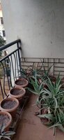 Balcony 1