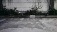 parkings 1