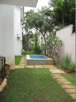 Back Yard 1