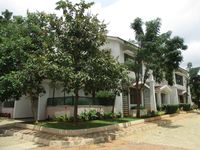 Front Yard 1