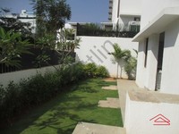 Garden 1