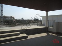 Terrace 1