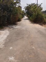 Unit:  Approach Road