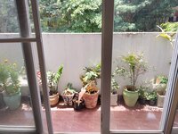 Balcony 3