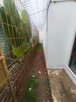 Garden 1
