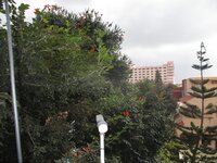 Balcony 2