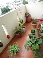 Balcony 1