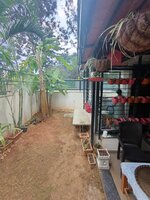 Garden 1