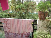 Balcony 1