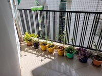 Balcony 2