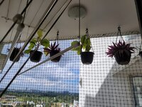 Balcony 2