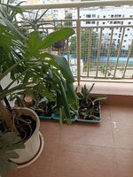 Balcony 2