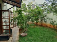Garden 1