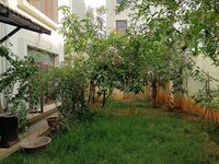 Garden 1