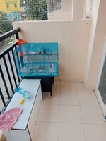 Balcony 2