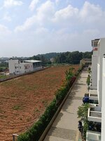 Terrace 1