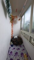 Balcony 1