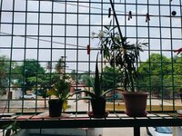 Balcony 2