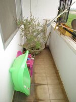 Balcony 2