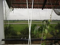 Balcony 3