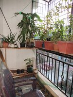 Balcony 1