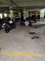 parkings 1