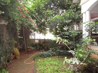 Garden 1